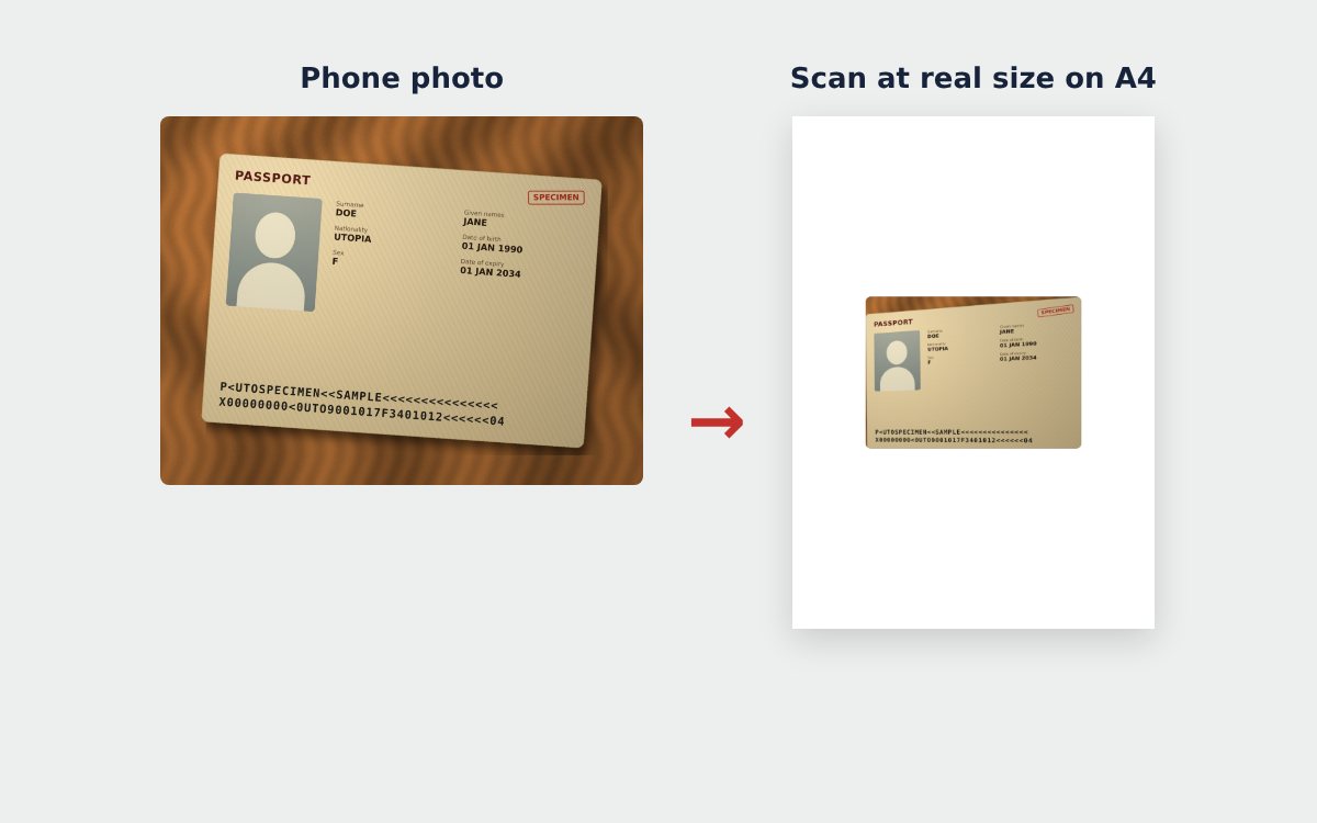 Passport photo turned into a PDF scan on an A4 page