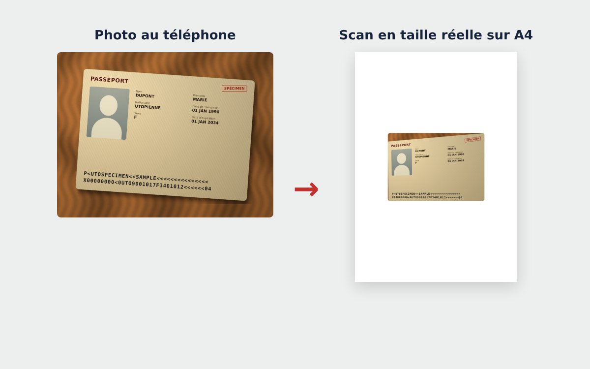 Photo de passeport transformée en scan PDF sur une page A4