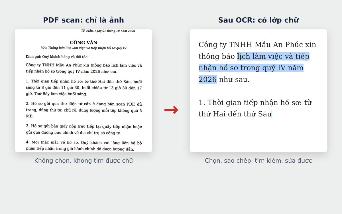 OCR PDF là gì: PDF scan chỉ là ảnh và văn bản sau khi OCR