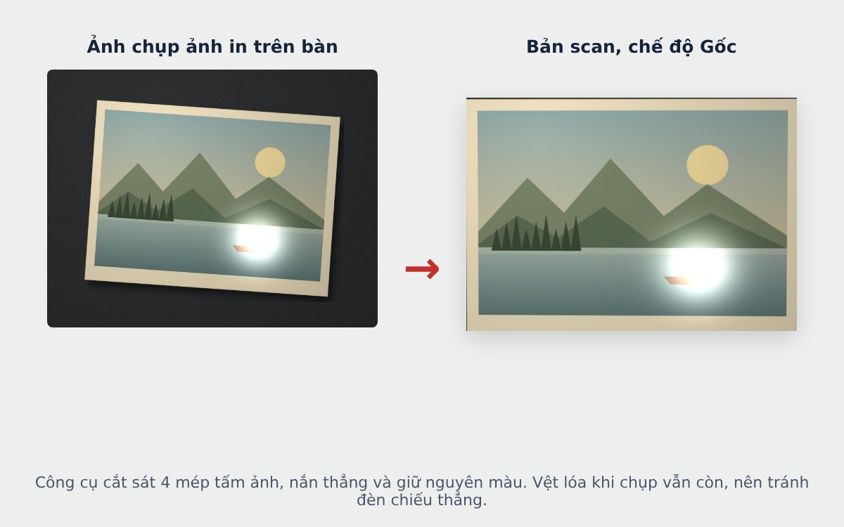Ảnh in chụp trên bàn và bản scan hình ảnh chế độ Gốc